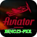 Bingo PKR Plus v4.7.3