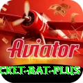 cricket bat - Max v2.7.6