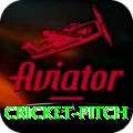 cricket pitch Super - Daily Bonus