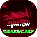 grass carp Legend Rewards