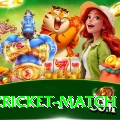 india cricket match Mega APK v5.8.9