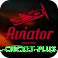 international cricket Jackpot Premium v3.2.3