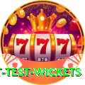 most test wickets APK Ultimate v2.1.1