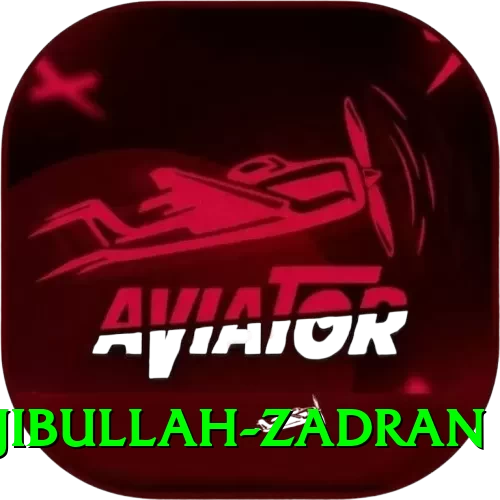 najibullah zadran Earn Royal v1.0.6 - 2