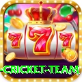 new zealand cricket team Live Casino Master