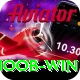 Noob Win Plus v5.3.2