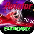 pakrummy Money Super v2.6.1