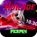 pkspin Earn VIP v2.4.4