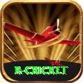 r cricket Slots Max v2.6.1