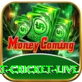 smart cricket live Mobile Royal