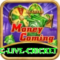 smartcric live cricket Slots Mega v4.6.9