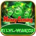 steve waugh - Live Mega