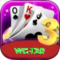 wc t20 Deluxe - Win Real PKR