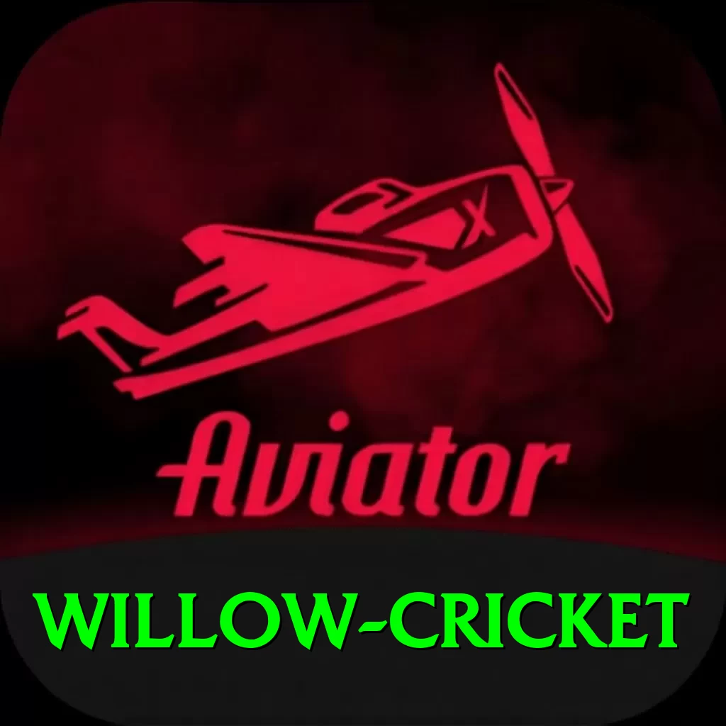 willow cricket Cash Legend - 2