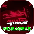 winbaobab Official v4.2.2